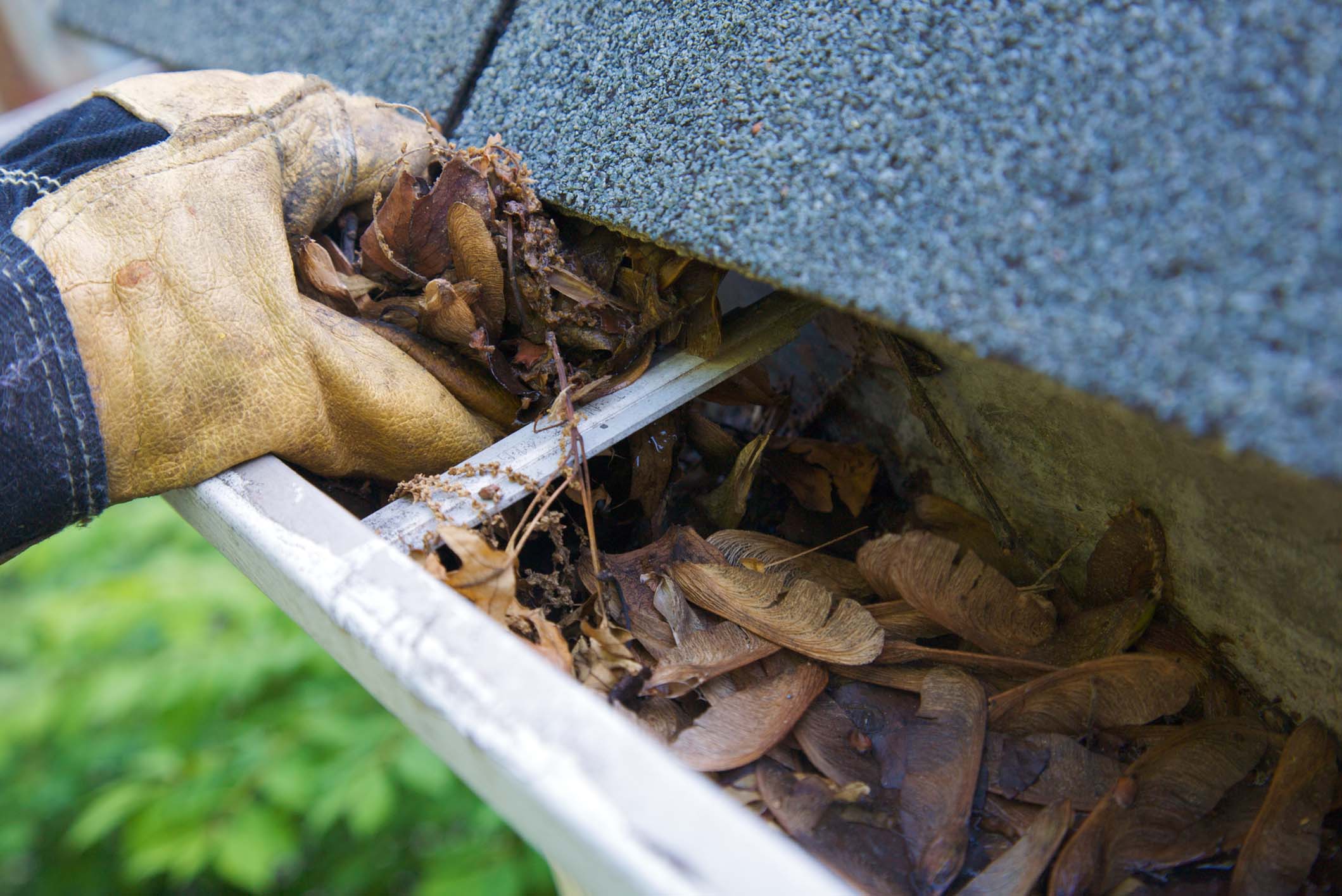 Gutter Cleaning Gutter Cleaning