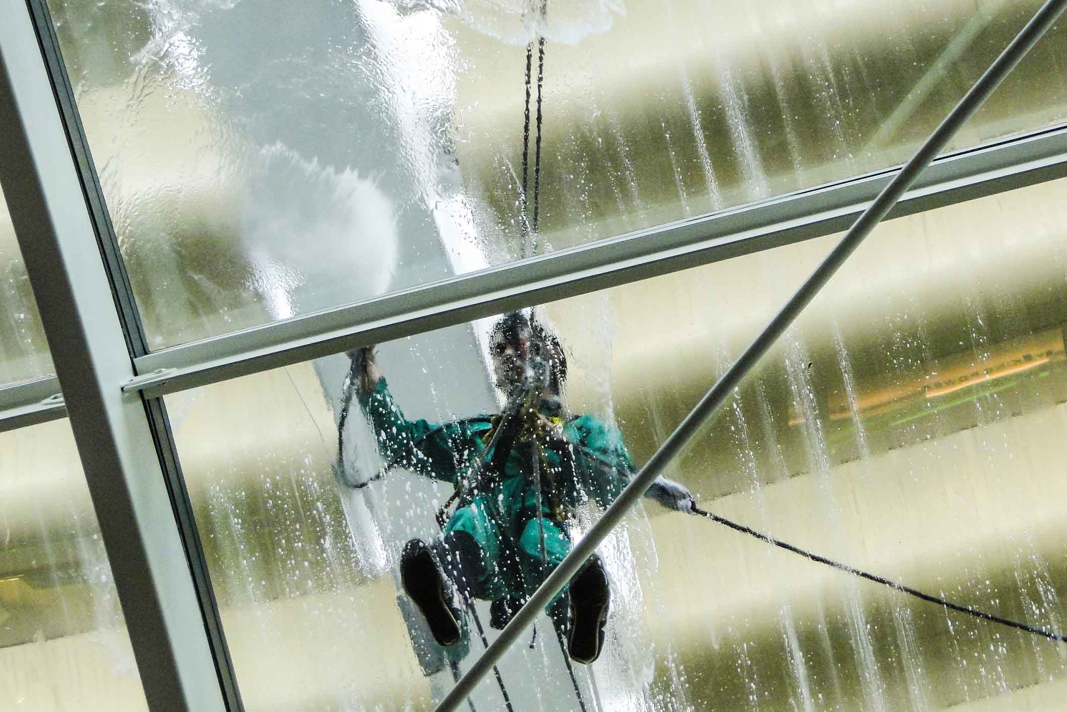 window cleaner window cleaner